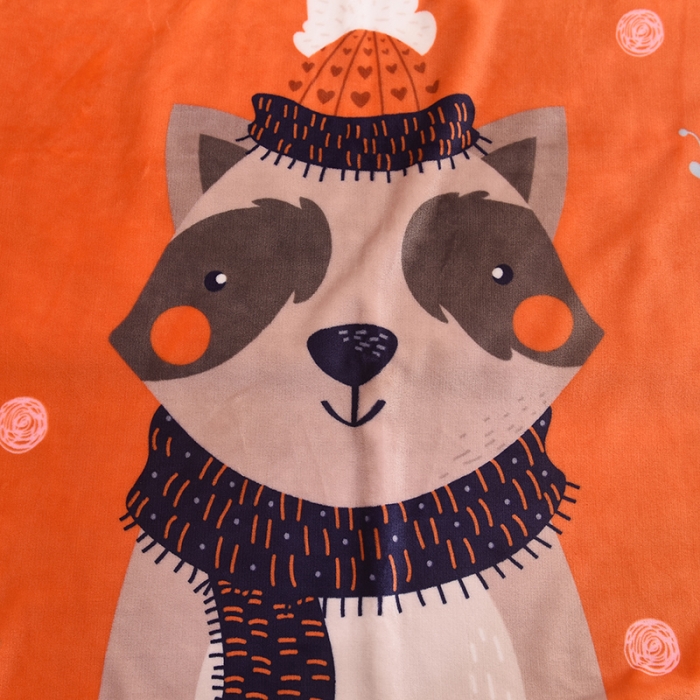 91家纺网 家纺一手货源 找家纺 爱她美 2021新款童毯超柔加厚云貂绒儿童毯小浣熊