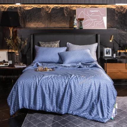 91家纺网 家纺一手货源 找家纺 （总）头等舱 2022臻丝棉A类提花抗菌蚕丝被可水洗