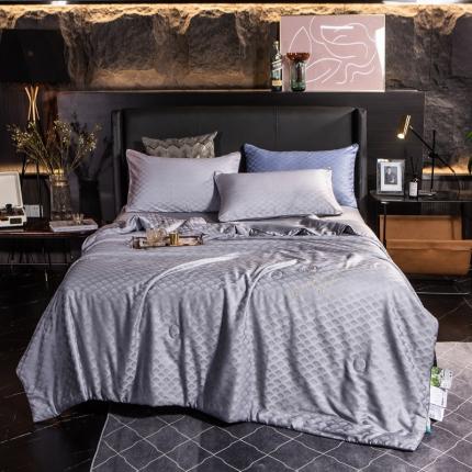 91家纺网 家纺一手货源 找家纺 （总）头等舱 2022臻丝棉A类提花抗菌蚕丝被可水洗