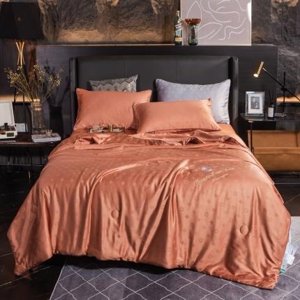 91家纺网 家纺一手货源 找家纺 （总）头等舱 2022臻丝棉A类提花抗菌蚕丝被可水洗