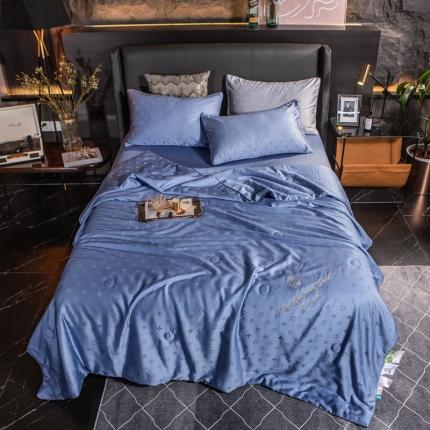 头等舱 2022臻丝棉A类提花抗菌蚕丝被可水洗 若叶宝兰