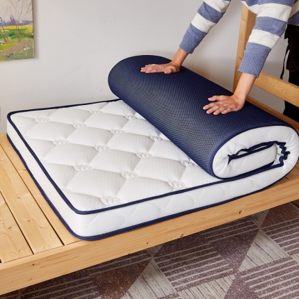 91家纺网 家纺一手货源 找家纺 （总）祁恋婷家居 2021新款单人乳胶床垫【床垫遮盖物】