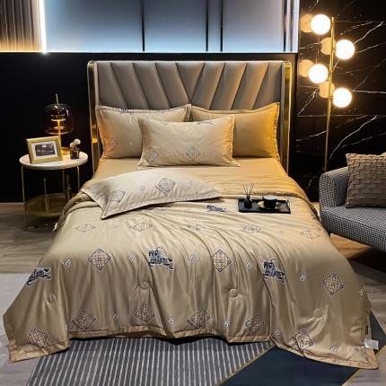 2021新品水洗天丝夏被四件套三件套空调被水洗真丝冰丝夏凉被