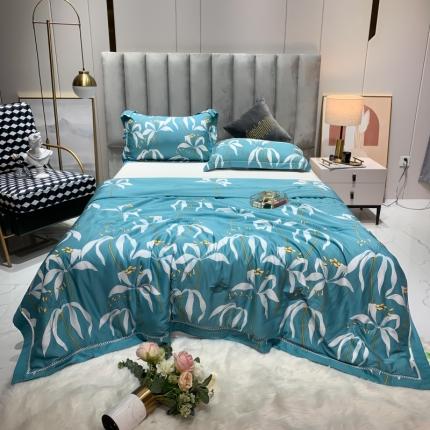 91家纺网 家纺一手货源 找家纺 棉生活家纺 2022新款莫代尔天丝夏被 耶利亚