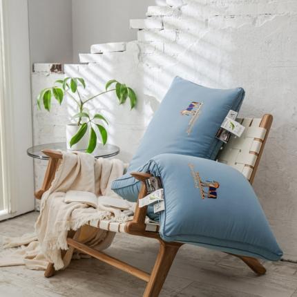 91家纺网 家纺一手货源 找家纺 头等舱 2022新款全棉A类大豆抗菌防螨枕芯 凯撒-蓝