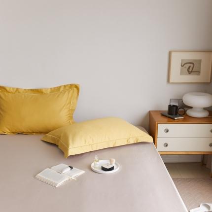 91家纺网 家纺一手货源 找家纺 （总）时光里2021新款100支长绒棉贡缎单枕套