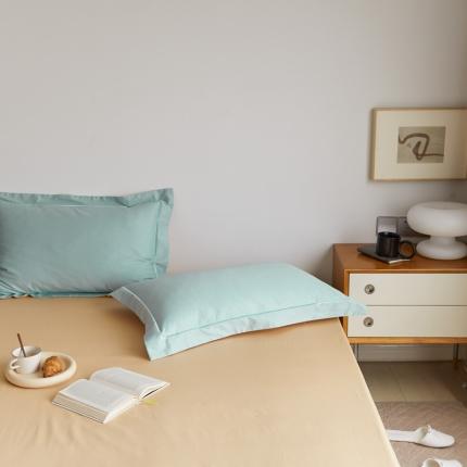 91家纺网 家纺一手货源 找家纺 （总）时光里2021新款100支长绒棉贡缎单枕套