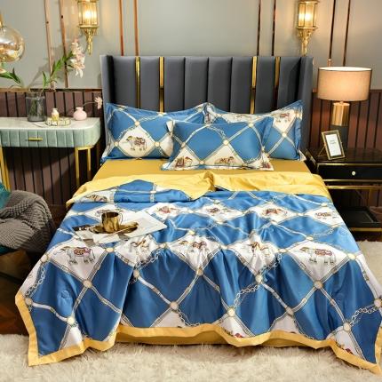 梦柏2021新款水洗天丝夏被 夏凉被 王家风范