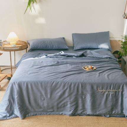 91家纺网 家纺一手货源 找家纺 （总）丽笙 2021新款60兰精天丝素色刺绣系列夏被