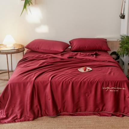 91家纺网 家纺一手货源 找家纺 （总）丽笙 2021新款60兰精天丝素色刺绣系列夏被