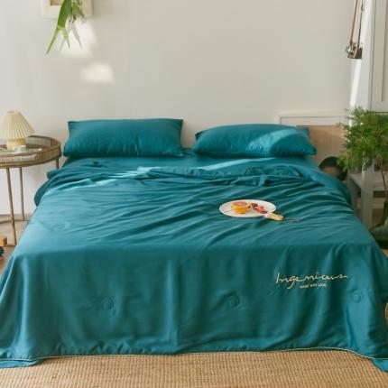 91家纺网 家纺一手货源 找家纺 （总）丽笙 2021新款60兰精天丝素色刺绣系列夏被