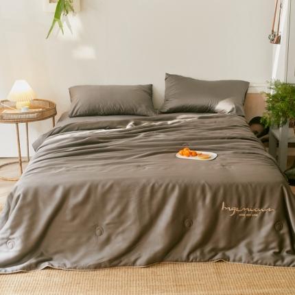 91家纺网 家纺一手货源 找家纺 （总）丽笙 2021新款60兰精天丝素色刺绣系列夏被