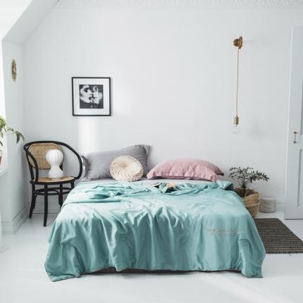 91家纺网 家纺一手货源 找家纺 （总）丽笙 2021新款60兰精天丝素色刺绣系列夏被