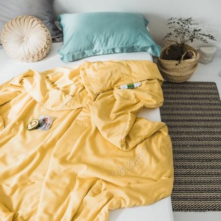 91家纺网 家纺一手货源 找家纺 （总）丽笙 2021新款60兰精天丝素色刺绣系列夏被