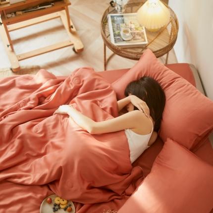 91家纺网 家纺一手货源 找家纺 丽笙 2021新款60兰精天丝素色刺绣系列夏被 椰棕红