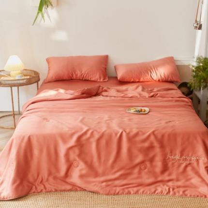 91家纺网 家纺一手货源 找家纺 丽笙 2021新款60兰精天丝素色刺绣系列夏被 椰棕红