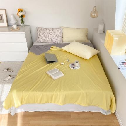 91家纺网 家纺一手货源 找家纺 （总）西西家居 2021新款纯色凉感丝天丝夏被