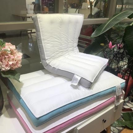 91家纺网 家纺一手货源 找家纺 （总）剑桥枕业 全新枕芯系列色彩单人柔软低矮羽丝绒枕