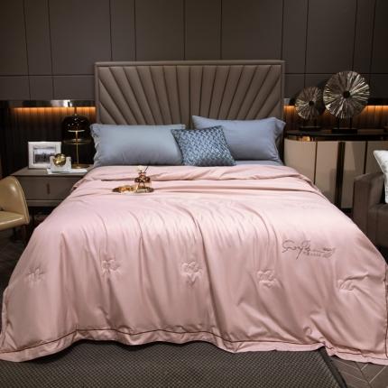 91家纺网 家纺一手货源 找家纺 佰亿莱 2024新款大豆纤维夏被  花镜粉