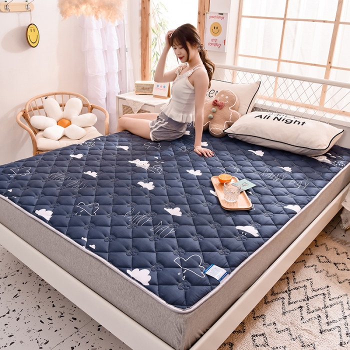 91家纺网 家纺一手货源 找家纺 寐珂 2025新款全棉大豆纤维床垫薄款 漫步云端