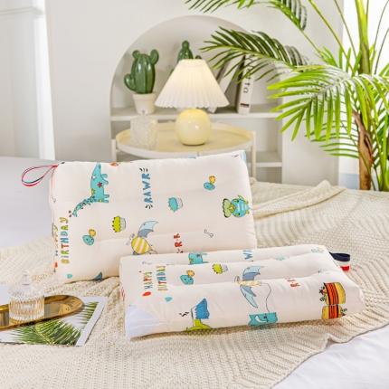 萌番宝 2022新款全棉儿童水洗枕恐龙时代30*50cm