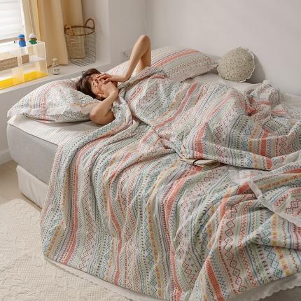 丽笙被芯新款全棉印花花边夏被第 一批彩虹之旅LS005