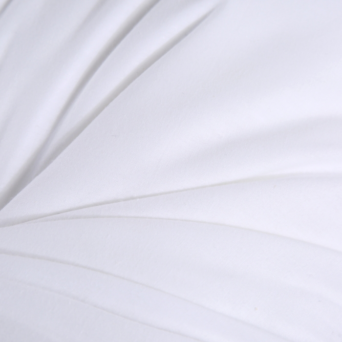 91家纺网 家纺一手货源 找家纺 天意美枕芯2021新款高端星级酒店羽丝绒枕无标款