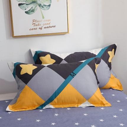 91家纺网 家纺一手货源 找家纺 （总）晶缦家纺 2022新款秋冬款全棉12868多规单枕套