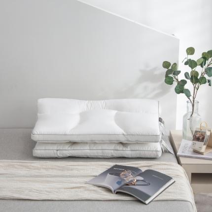 91家纺网 家纺一手货源 找家纺 头等舱 2022新款全棉A类四区两用大豆抗菌防螨护颈枕芯 白