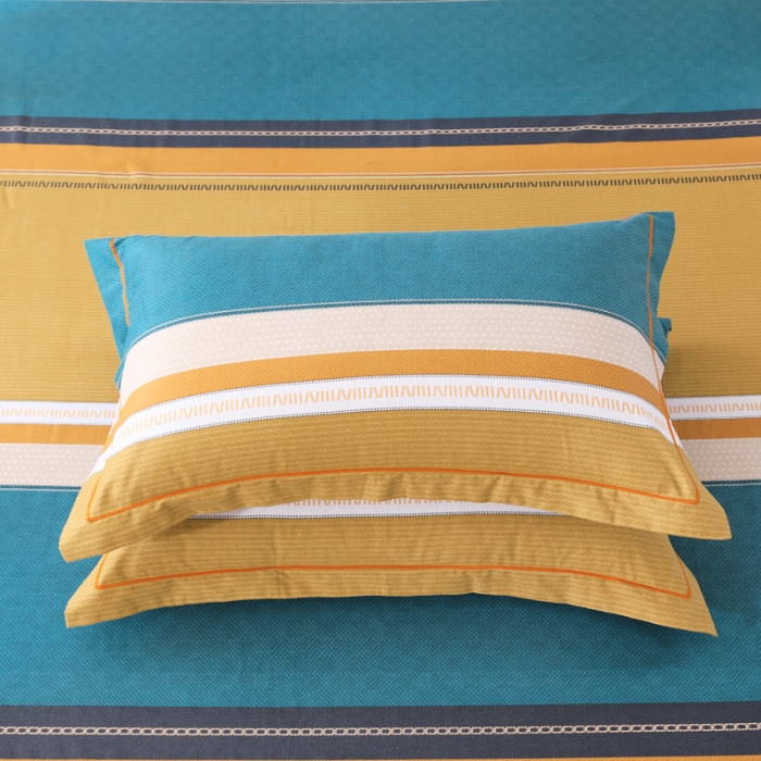 91家纺网 家纺一手货源 找家纺 金纱玉纺 2022新款全棉磨毛四件套 飞行日记