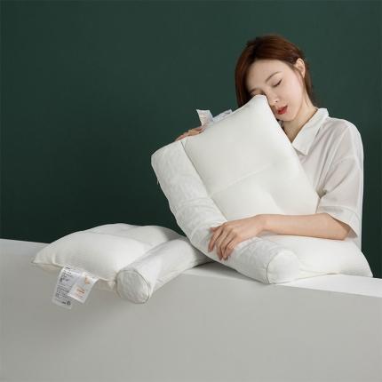 多点家居 2021新款决明子荞麦护颈枕40*60/只