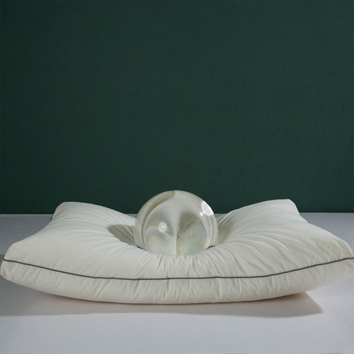 91家纺网 家纺一手货源 找家纺 多点家居 2021新款生态助眠枕40*70/只