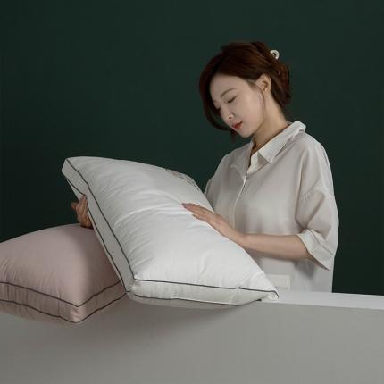 （总）多点家居 2021新款依沃珑防螨抗过敏枕40*70/只