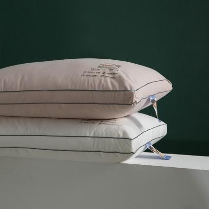 多点家居 2021新款依沃珑防螨抗过敏枕40*70/只 粉色