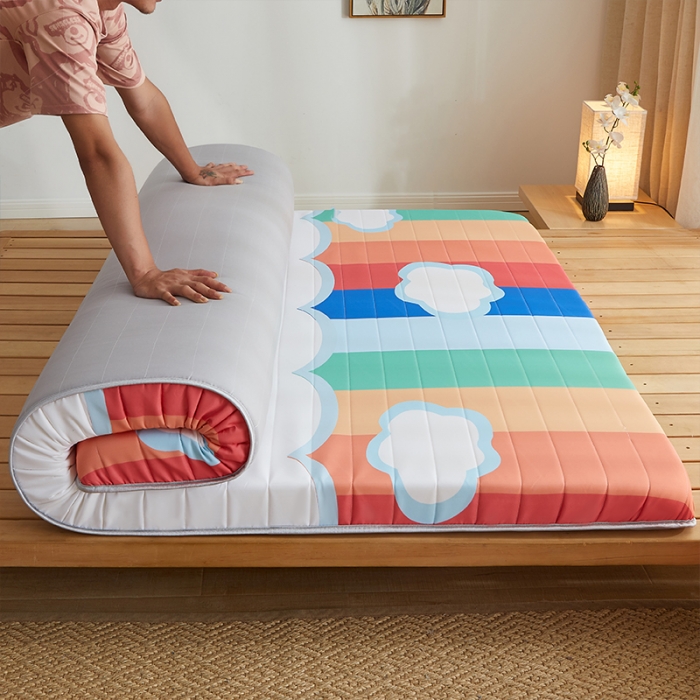 91家纺网 家纺一手货源 找家纺 （总）2025新款A类大版数码印花亲肤磨毛床垫 成人版