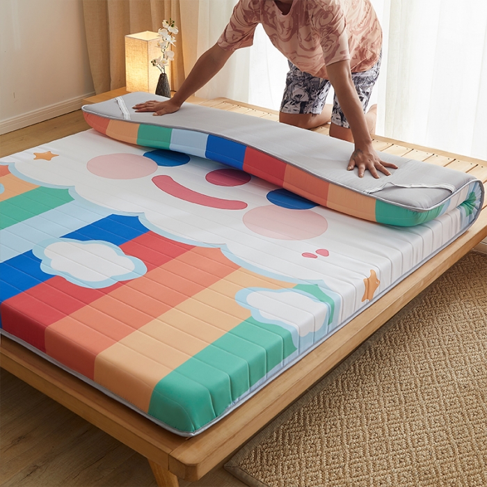 91家纺网 家纺一手货源 找家纺 （总）2025新款A类大版数码印花亲肤磨毛床垫 成人版