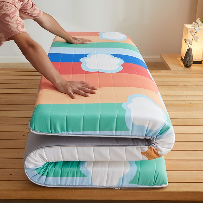 91家纺网 家纺一手货源 找家纺 （总）2025新款A类大版数码印花亲肤磨毛床垫 成人版