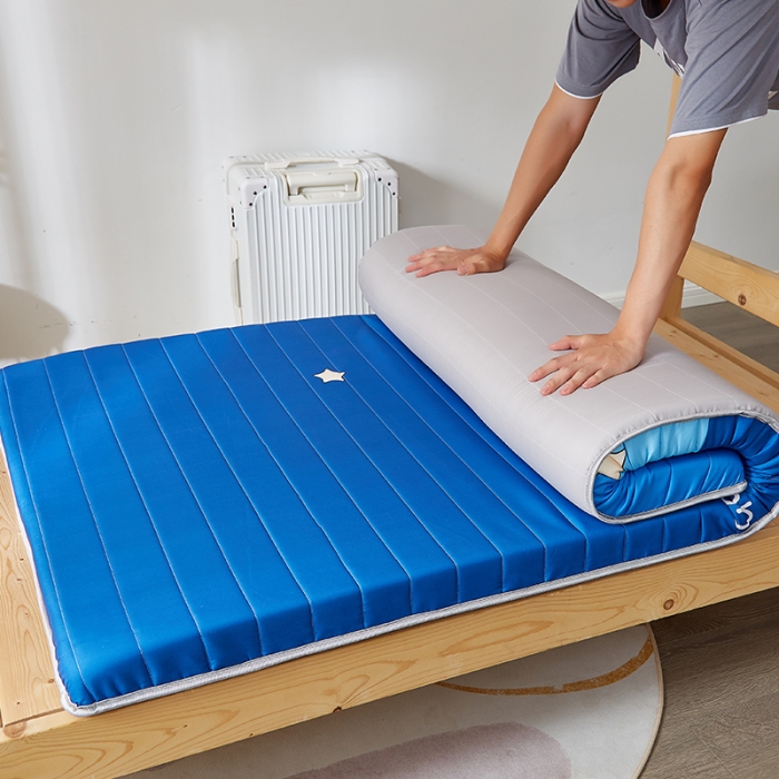 91家纺网 家纺一手货源 找家纺 2025新款大版数码印花亲肤磨毛床垫 学生版 独角兽