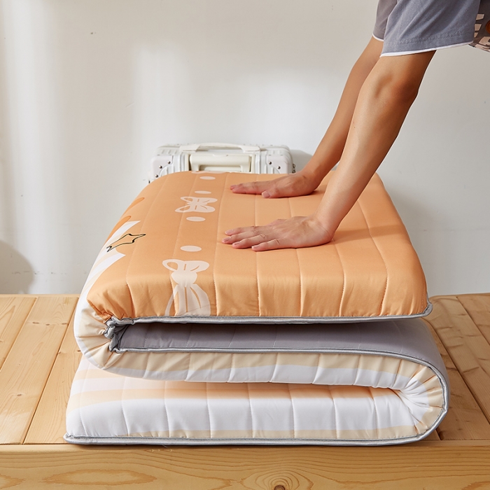 91家纺网 家纺一手货源 找家纺 2025新款大版数码印花亲肤磨毛床垫 学生版 萝卜小兔