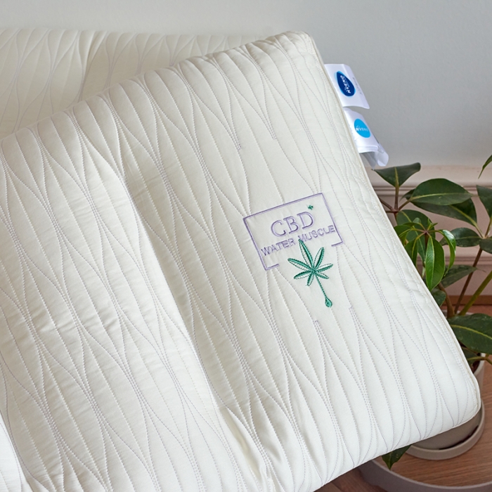 91家纺网 家纺一手货源 找家纺 （总）方回家纺 2021新款CBD植萃精华枕48*74