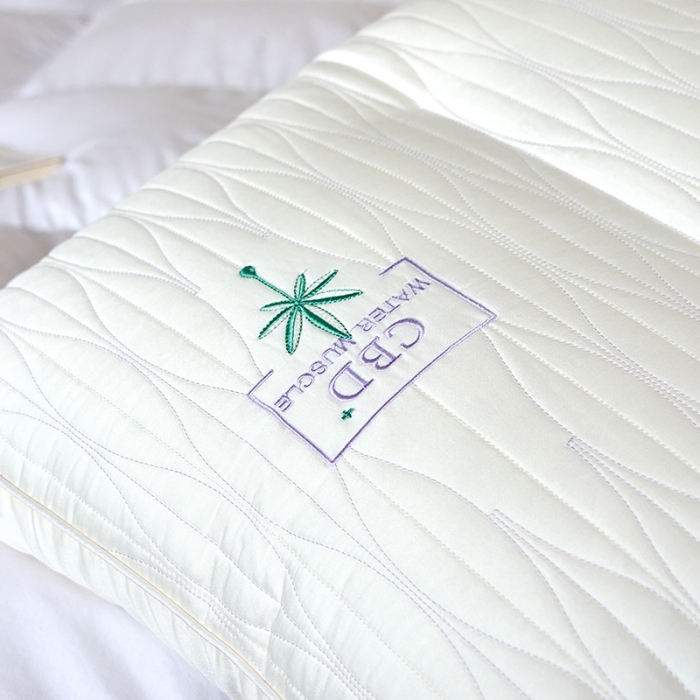 91家纺网 家纺一手货源 找家纺 （总）方回家纺 2021新款CBD植萃精华枕48*74