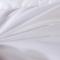 91家纺网 家纺一手货源 找家纺 （总）圣梦莱2021款羽丝被跑量防雨布羽绒被春秋冬被直播供货