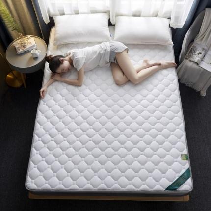 子鹏床垫 2022新款全棉乳胶海绵（立体）床垫 白色-9cm