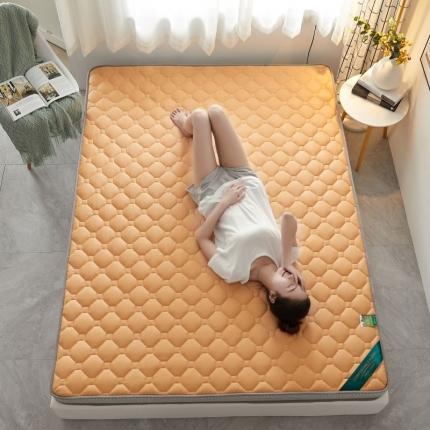 子鹏床垫 2022新款全棉乳胶海绵（立体）床垫 橙色-5cm
