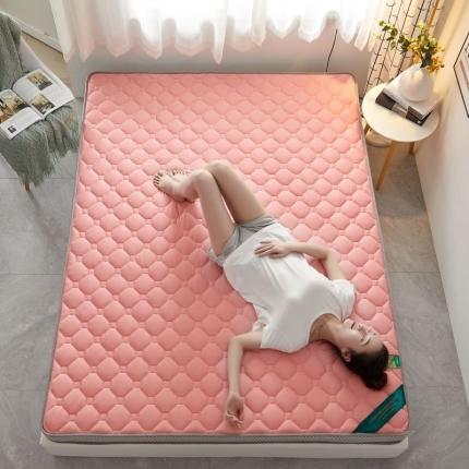 子鹏床垫 2022新款全棉乳胶海绵（立体）床垫 浅粉-5cm