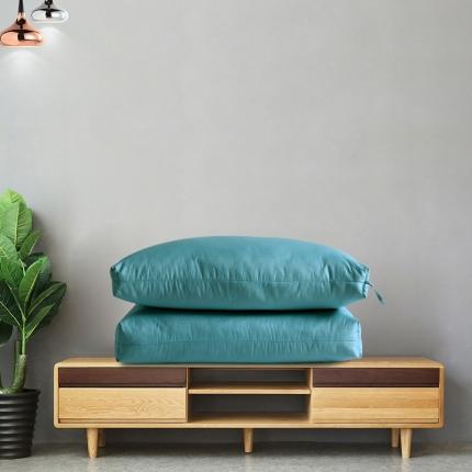 91家纺网 家纺一手货源 找家纺 太阳羽家纺 2021新款彩色羽毛枕芯枕头 蓝色40*66cm