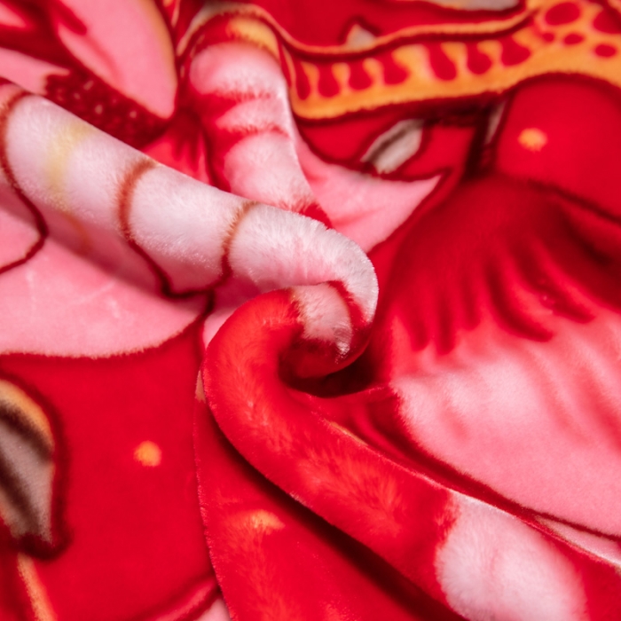 91家纺网 家纺一手货源 找家纺 凯轩毛毛毯毯子 2024新款婚庆云毛毯毯子 花语情