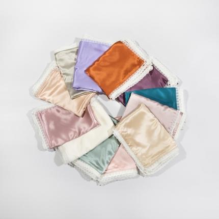 （总）雅韵诗 2023新款蕾丝花边枕套（不退换）