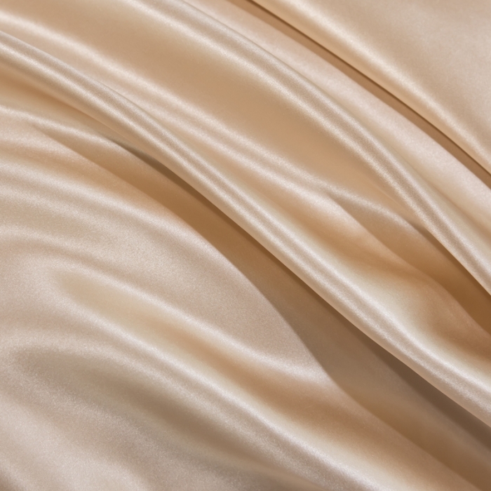 91家纺网 家纺一手货源 找家纺 雅韵诗 2023新款蕾丝花边枕套（不退换） 香槟金48*74cm一只