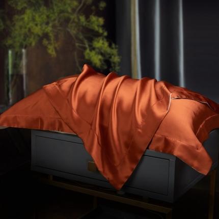 91家纺网 家纺一手货源 找家纺 （总）雅韵诗2023新款三边绣线枕套（不退换）